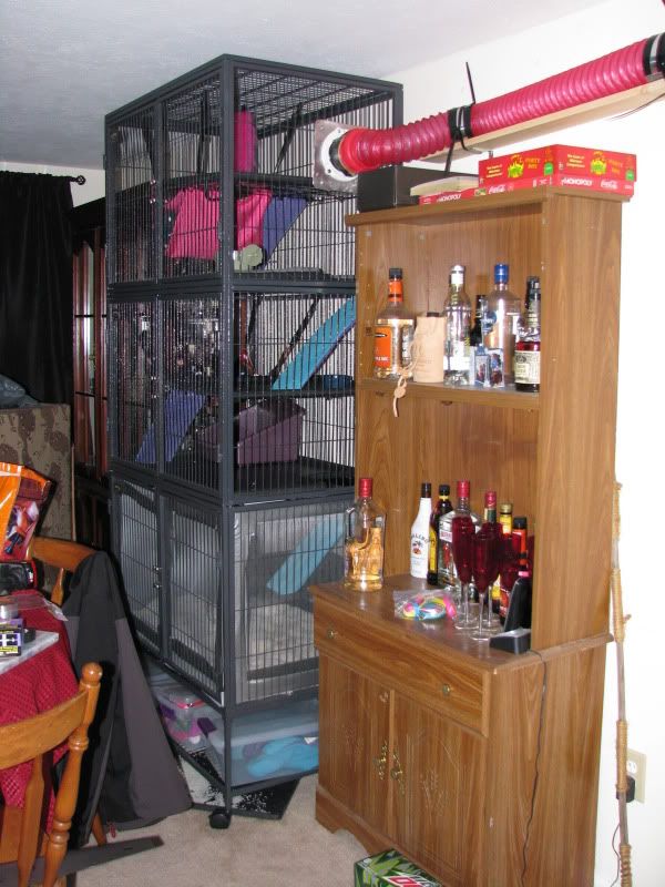 Tunnel and cage system The Holistic Ferret Forum